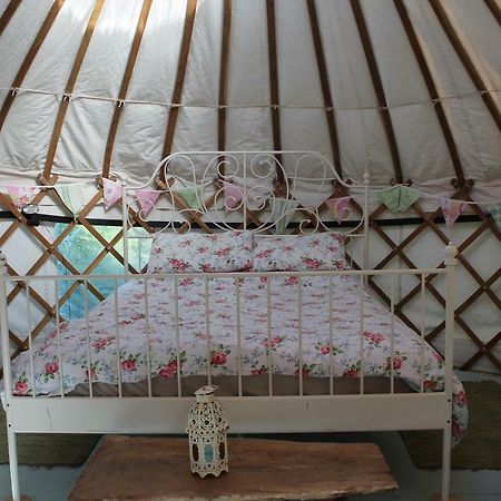 Mill Haven Place Glamping-Yurt 1 Talbenny Exterior photo