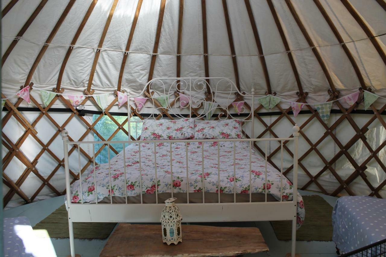 Mill Haven Place Glamping-Yurt 1 Talbenny Exterior photo